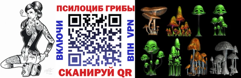 Галлюциногенные грибы Psilocybine cubensis  Купить где  Новосибирск 